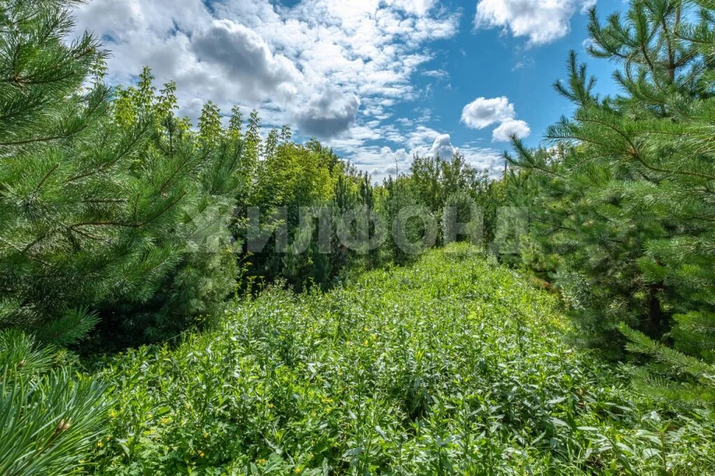 Продажа дома, Новосибирск, ул. Пионерская - Фото 10