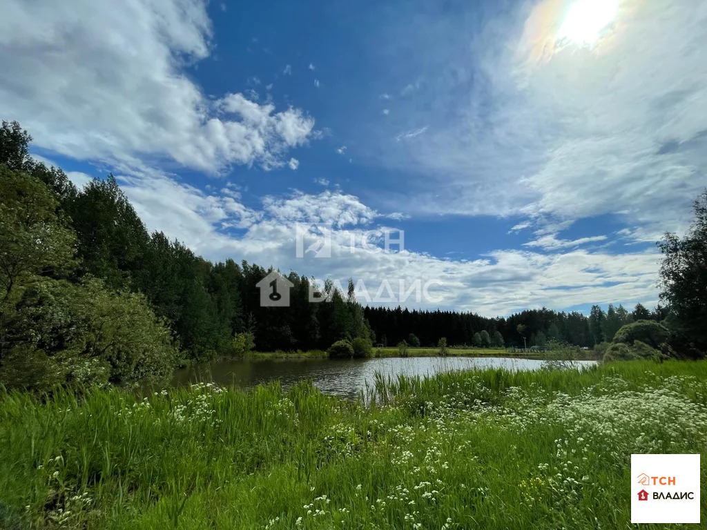 городской округ Пушкинский, рабочий посёлок Софрино, Октябрьская ... - Фото 26