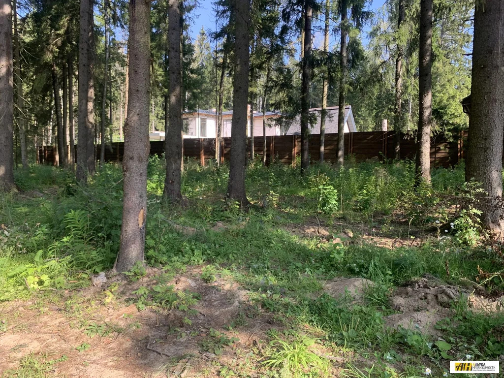 Продажа участка, Истринский район - Фото 15