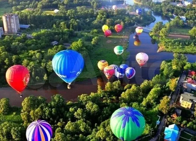 Участок 29,8 сот. (ИЖС) - Фото 7