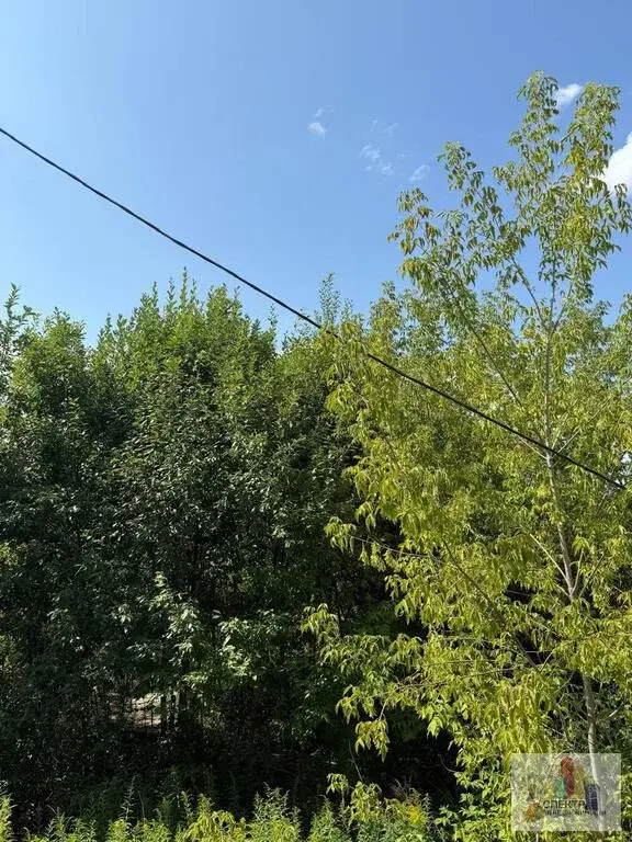 Участок 8 сот. (ИЖС) - Фото 4