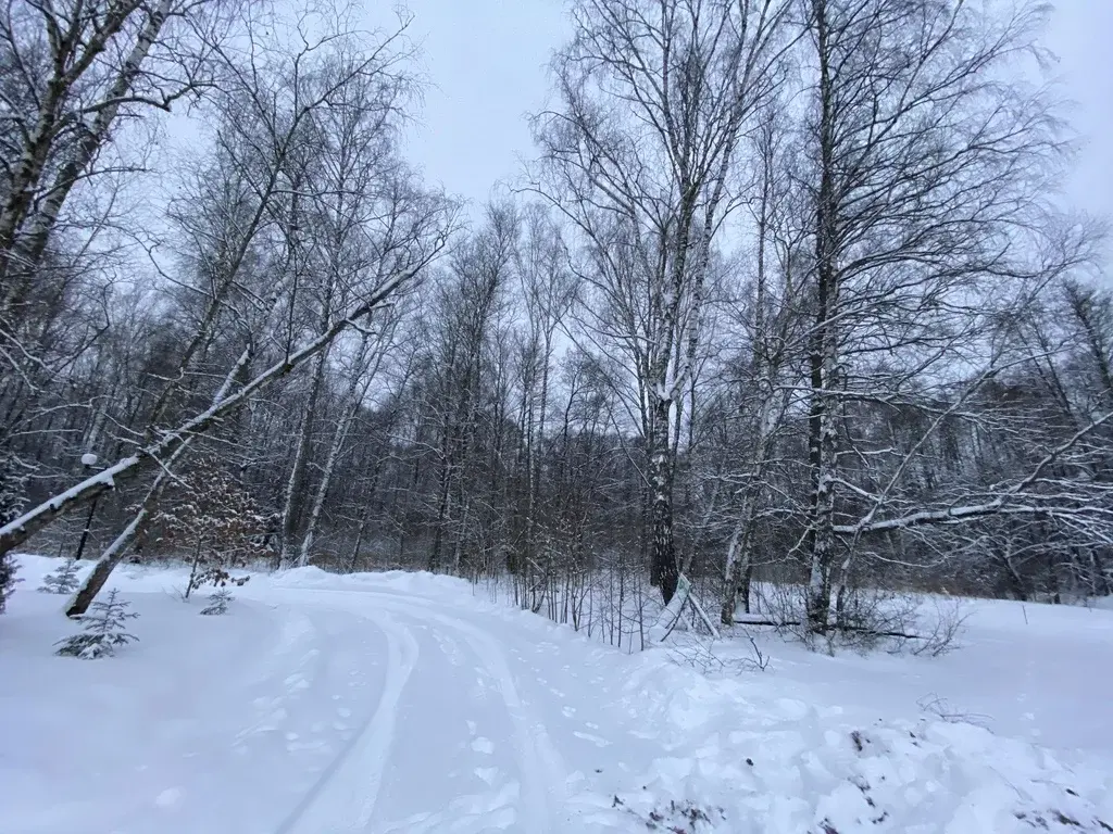 Лесной участок в коттеджном посёлке, 21 сотка, Финская деревня - Фото 6