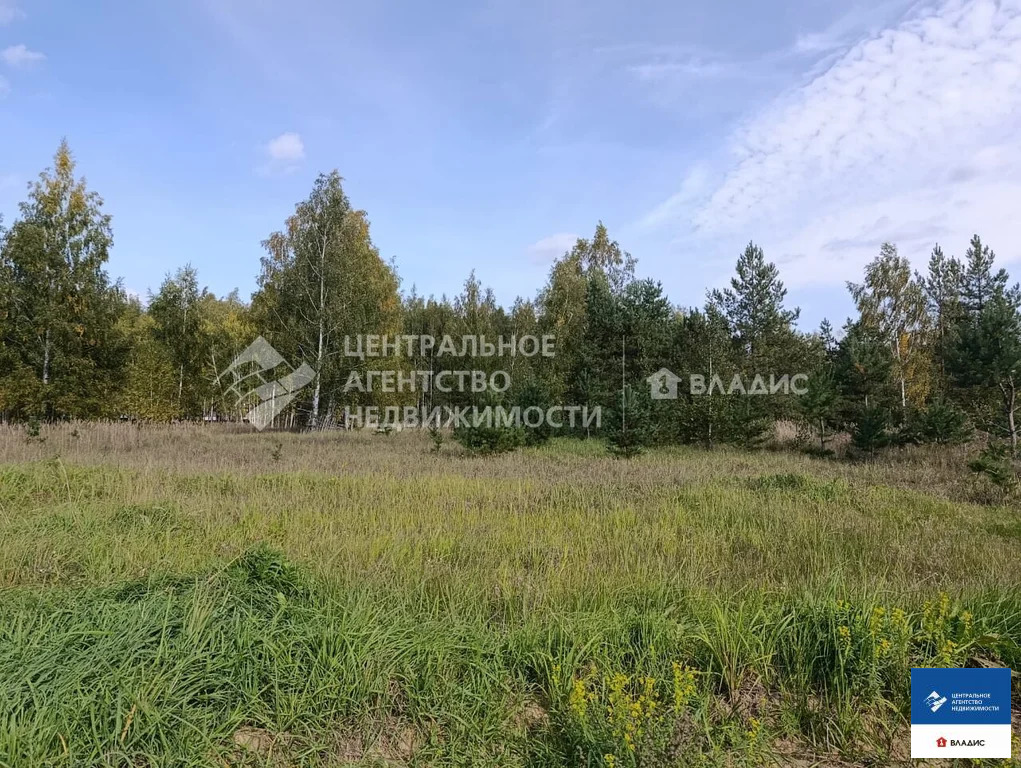 Продажа участка, Рязанский район, садоводческое товарищество ... - Фото 18