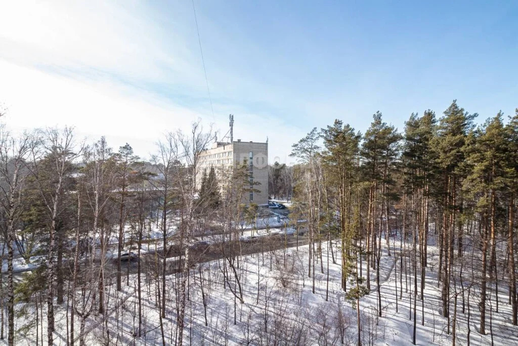 Продажа квартиры, Новосибирск, ул. Ильича - Фото 21