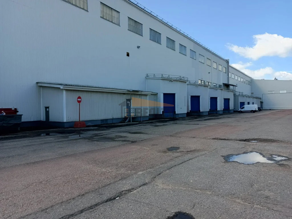 Аренда склада, Голицыно, Одинцовский район, Минское шоссе 43 км тер. - Фото 5