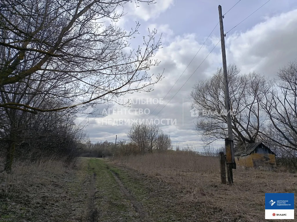 Продажа участка, Гагино, Пронский район, ул. Большая - Фото 3