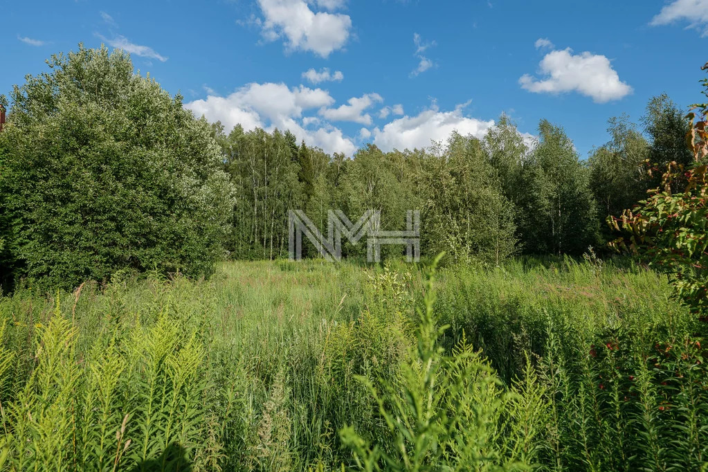 Купить Участок В Зверево Новая Москва