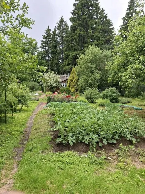 Продам дом в Лобне - Фото 6