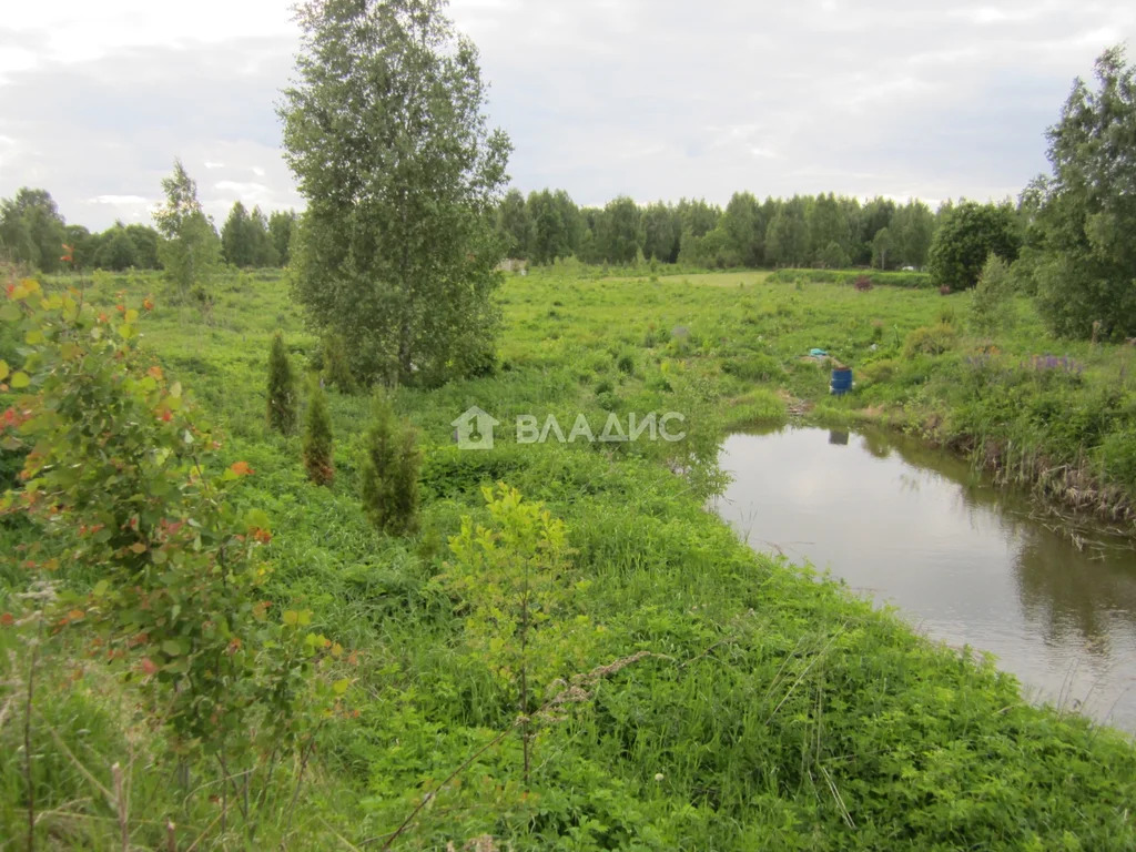 Судогодский район, деревня Климовская, микрорайон Мирное, микрорайон ... - Фото 7