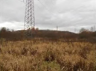 Земельный участок - Фото 4