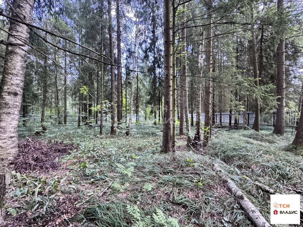 Продажа участка, Могильцы, Лотошинский район - Фото 1