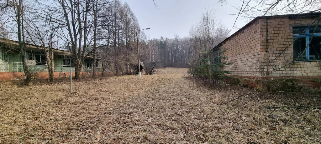 База отдыха "Лесные дали" - Фото 20