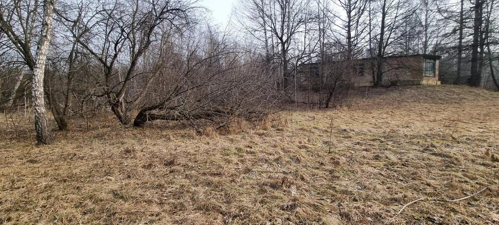 База отдыха "Лесные дали" - Фото 5