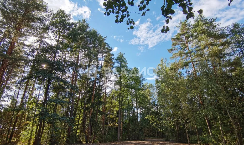 Раменский городской округ, посёлок Гжелка, территория Самар-1, ... - Фото 15