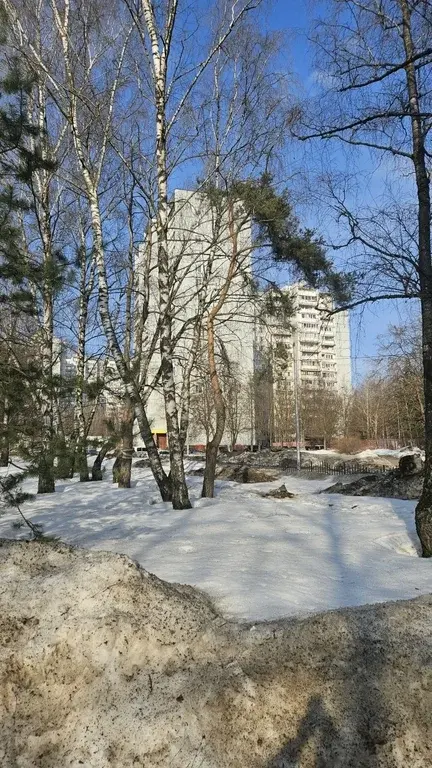 3-к. ул.Инессы Арманд, д.7 - Фото 18