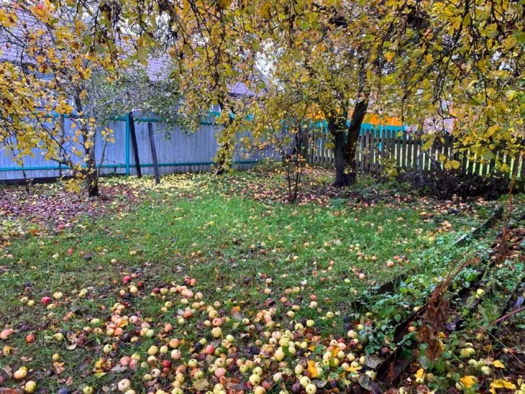 Часть дома в селе Середниково - Фото 25