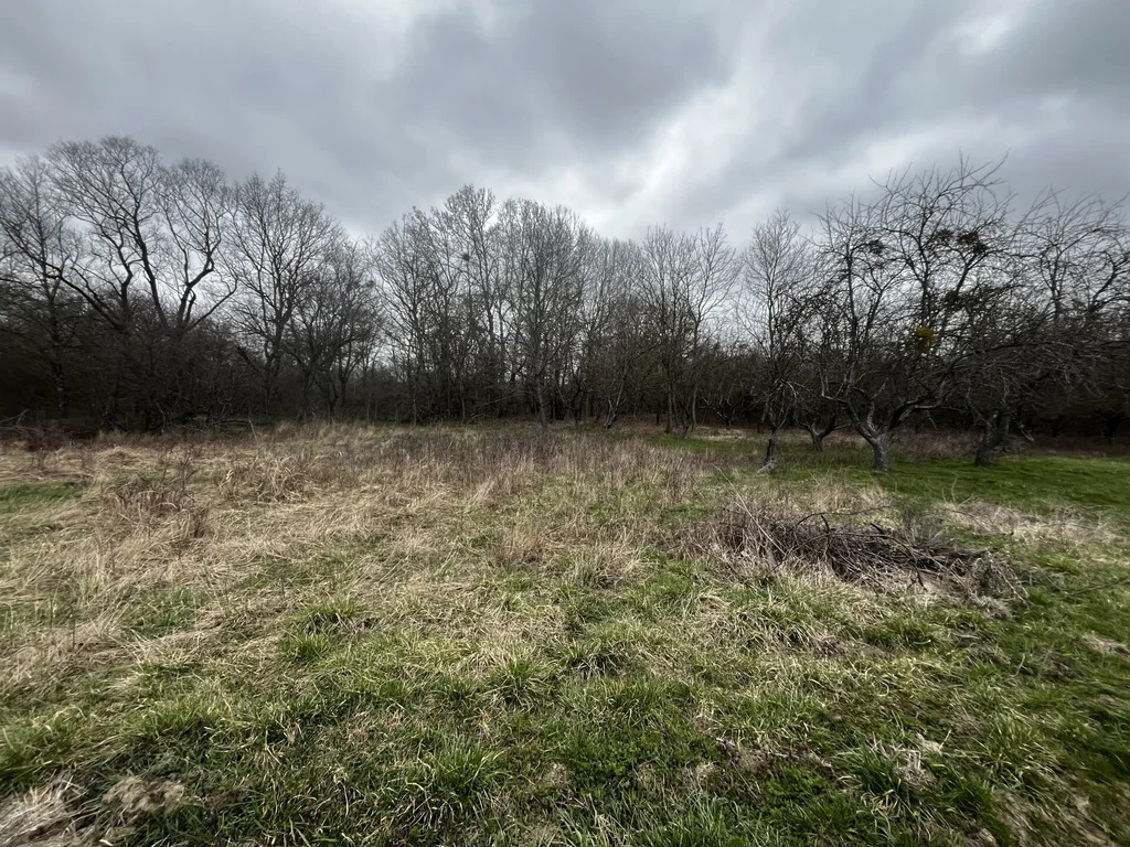 Продажа участка, Смоленская, Северский район - Фото 7