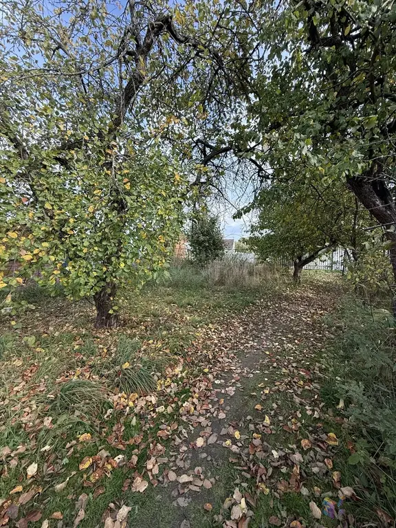 Продам участок 12 соток с. Щапово Ступинский район. - Фото 15