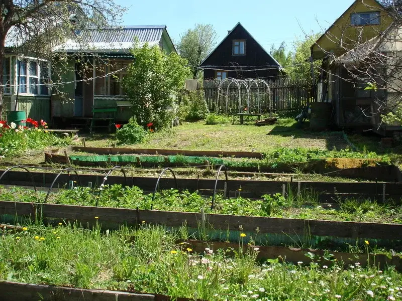 Дача в садовом товариществе - Фото 2