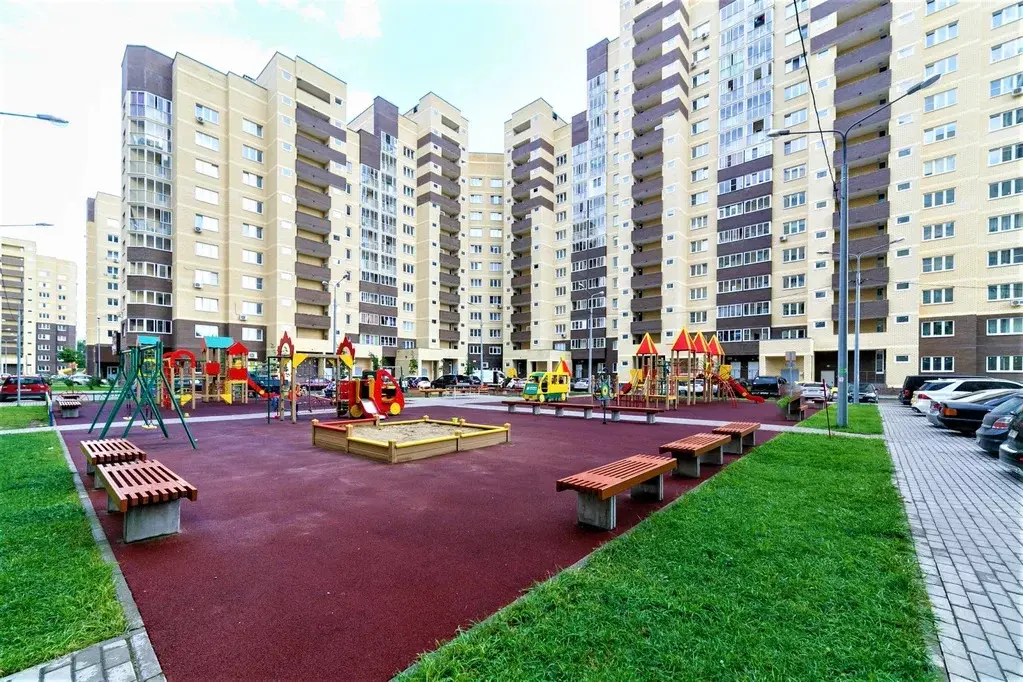 Дмитрий михайлов ногинск фото