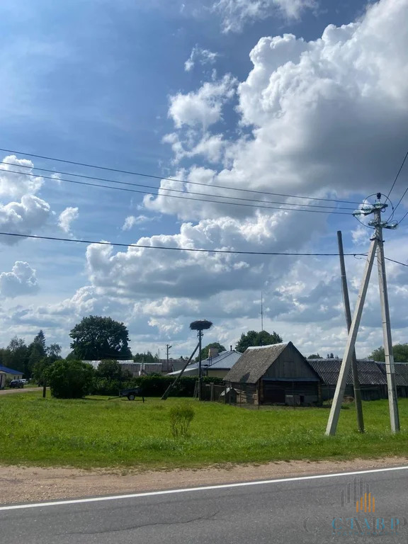 Продажа участка, Большие Озертицы, Волосовский район, деревня Большие ... - Фото 5