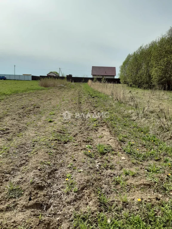 Дмитровский городской округ, деревня Бунятино,  земля на продажу - Фото 0