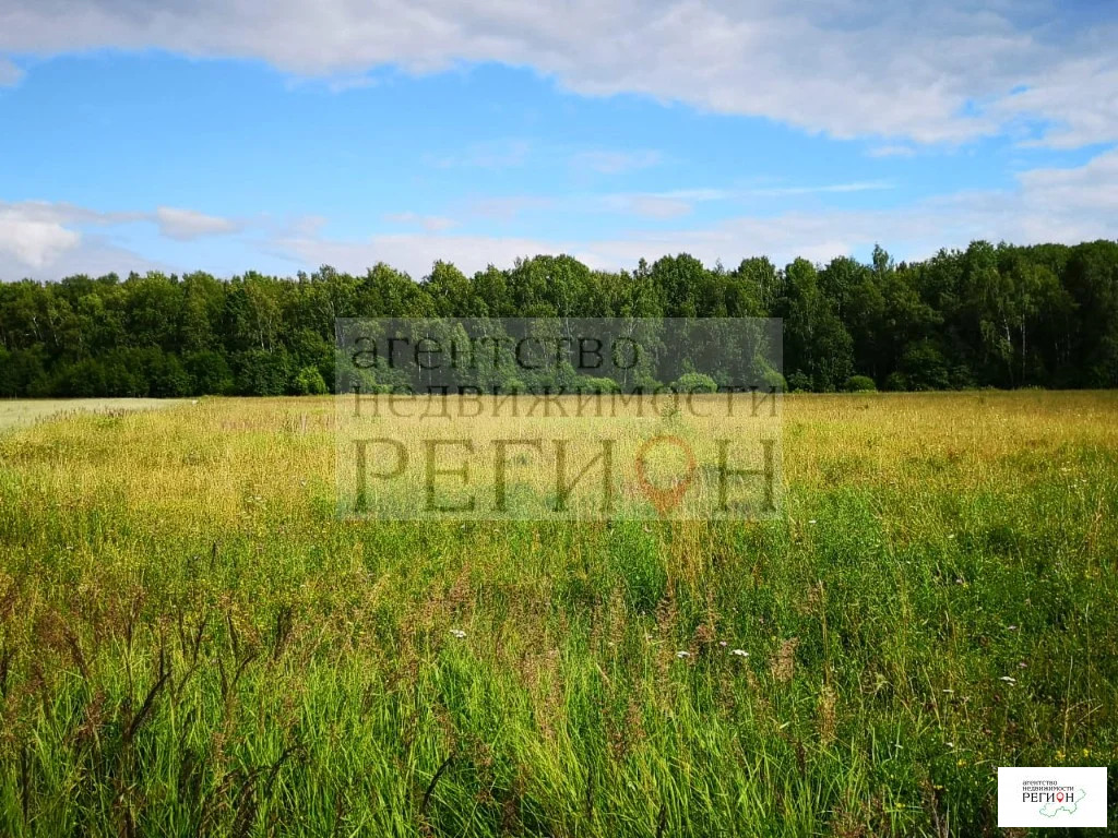 Продажа участка, Коростелево, Боровский район - Фото 1