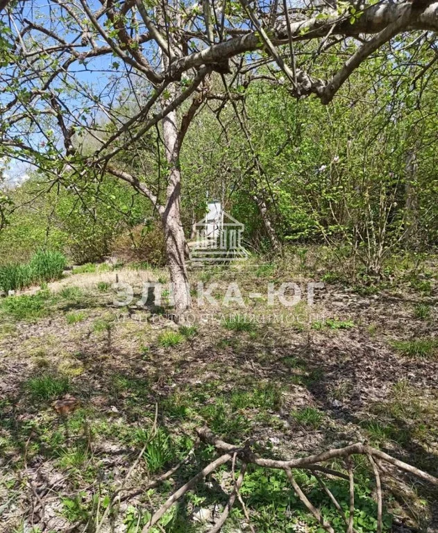 Продажа участка, Пляхо, Туапсинский район, ул. Лесная - Фото 4