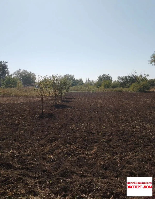 Продажа дома, Золотая Коса, Неклиновский район, ул. Пушкина - Фото 8