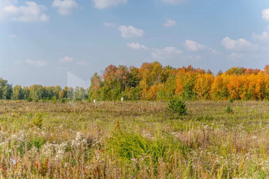 Продажа участка, Винзили, Тюменский район, Тюменский р-н - Фото 4