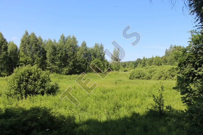 МО, Богородский г.о., с. Богослово, Земельный участок 7 га (ном. ... - Фото 14