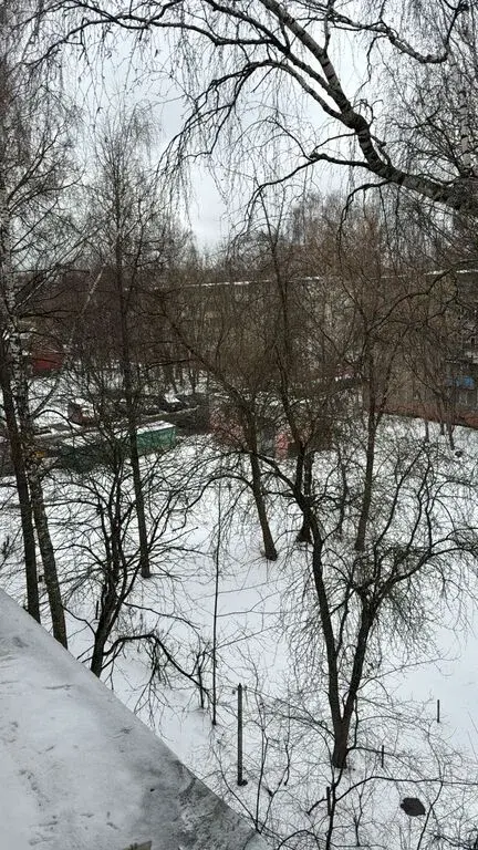 Свободная продажа! Быстрый выход на сделку! Полная стоимость в ДКП - Фото 7