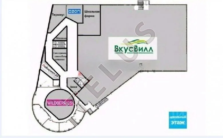 м Бибирево, ул Пришвина, 5627 м2, Торговый центр (ном. объекта: 8214) - Фото 8