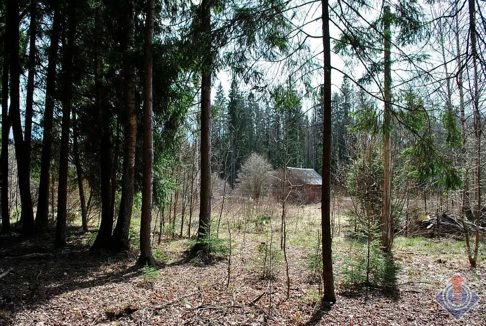 Участок у леса в СНТ Движенец, д. Савеловка, Наро-Фоминский район - Фото 8