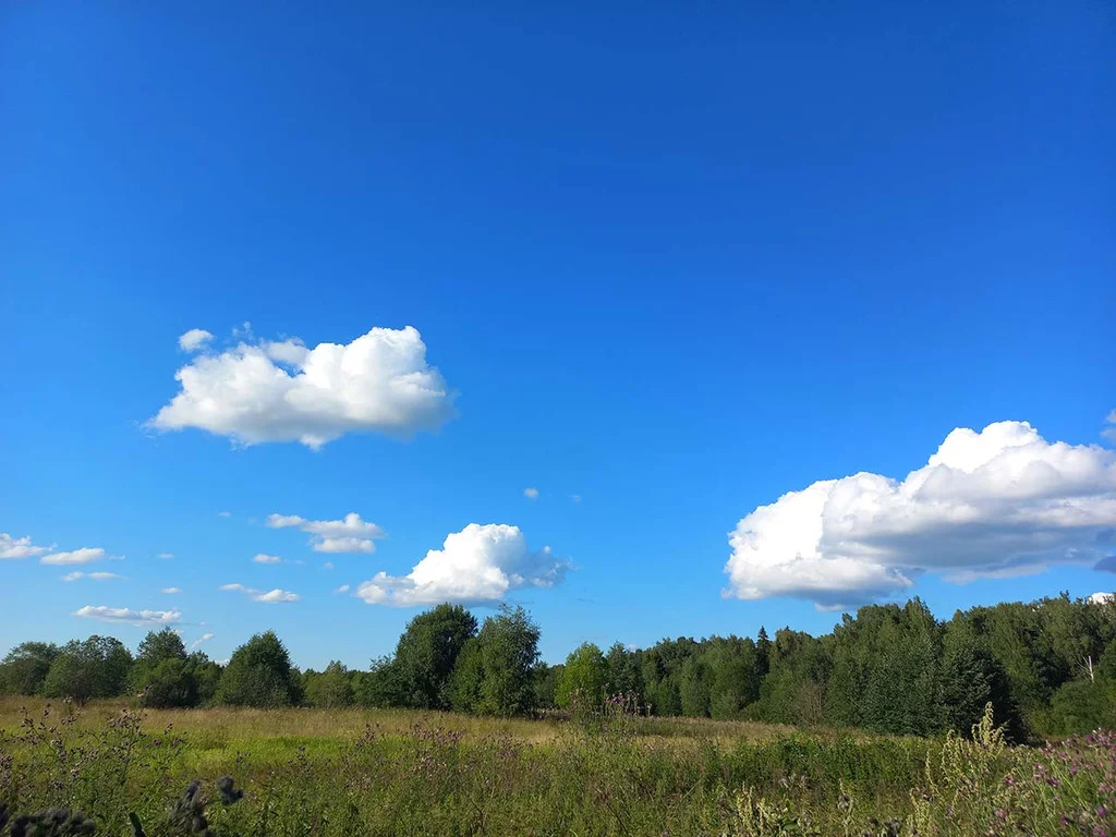 Продажа участка, Дмитровский район - Фото 0