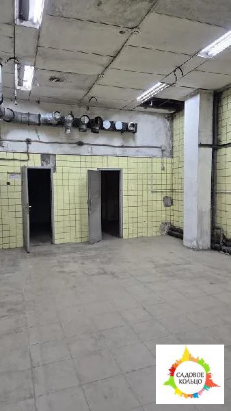 Сдается помещение свободного назначения с мокрой точкой - Фото 2
