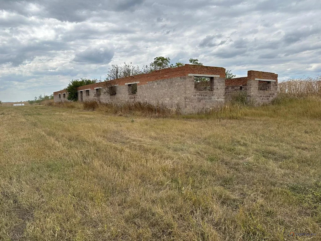 Продажа производственного помещения, Раздольное, Новоалександровский ... - Фото 13