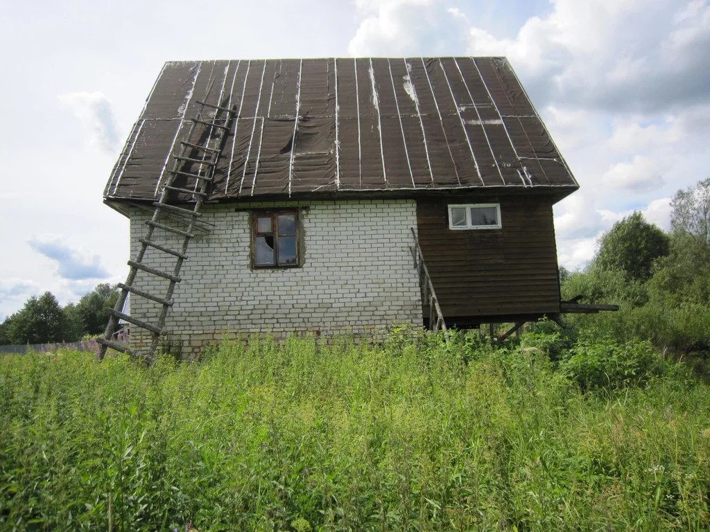 Тишина и простор Конаковской деревни Горбасьево - экология, лес и ... - Фото 5