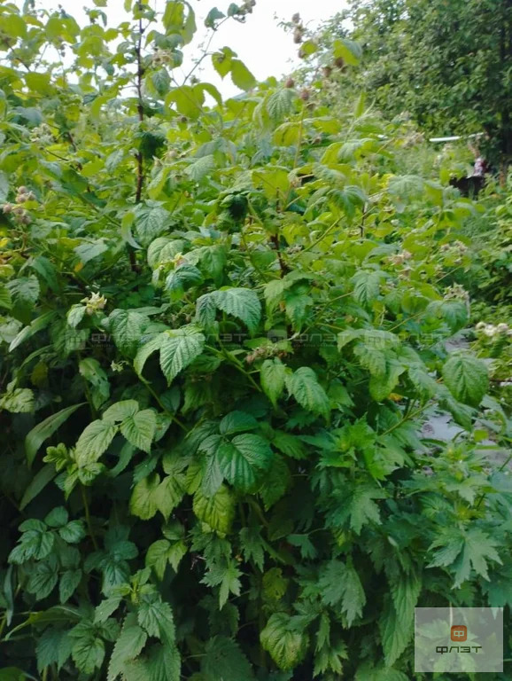 Продажа дома, Казань, ул. Школьная - Фото 16