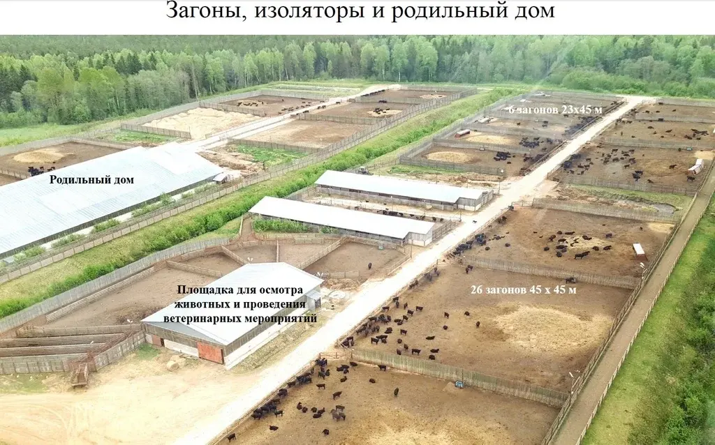 Вашему вниманию предлагаю от СОБСТВЕННИКА! Действующий живот-комплекс. - Фото 5