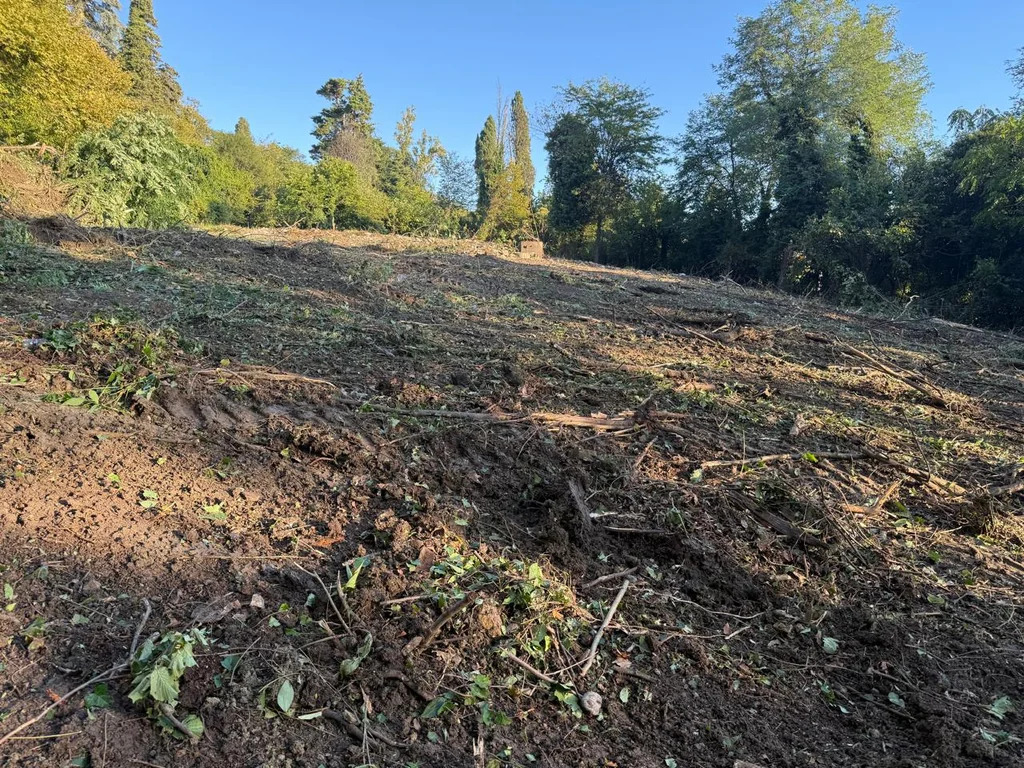 Продается земельный участок 24 сот. - Фото 4