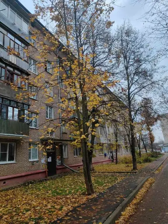 2-к. квартира, 39,3 м, 1/5 эт. - Фото 10