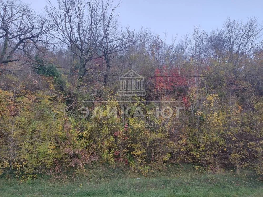 Продажа участка, Джубга, Туапсинский район, Лесной-мкр. - Фото 4