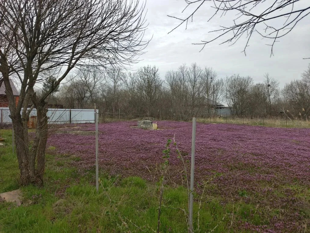 Продажа участка, Афипский, Северский район - Фото 5