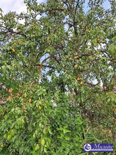 Продажа участка, Батайск, ул. Речная - Фото 3