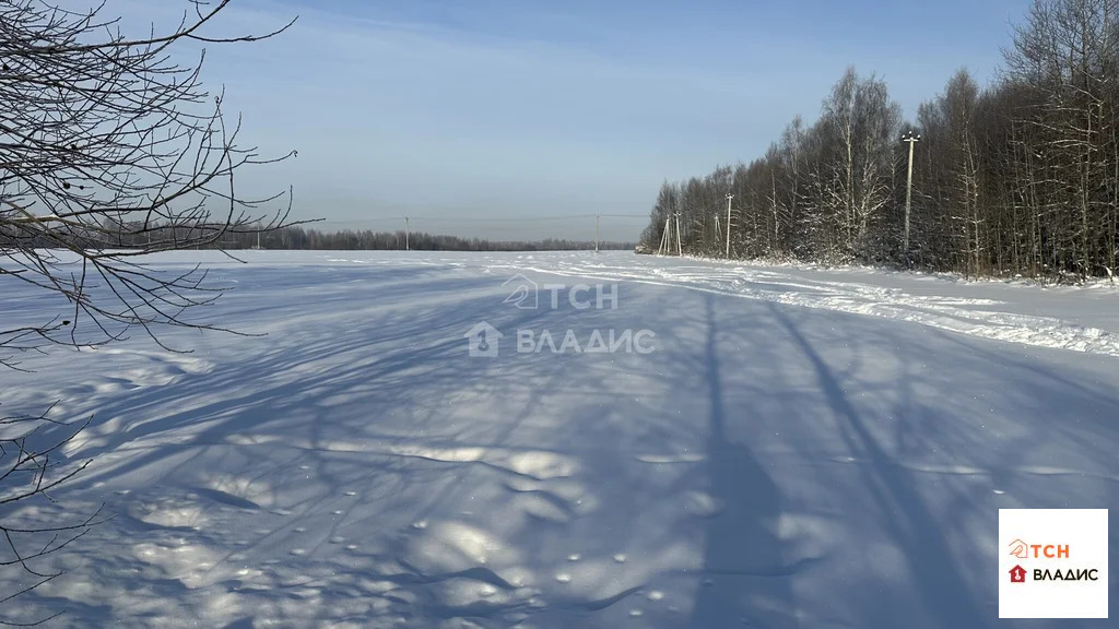 Продажа участка, Богородский г. о. - Фото 3
