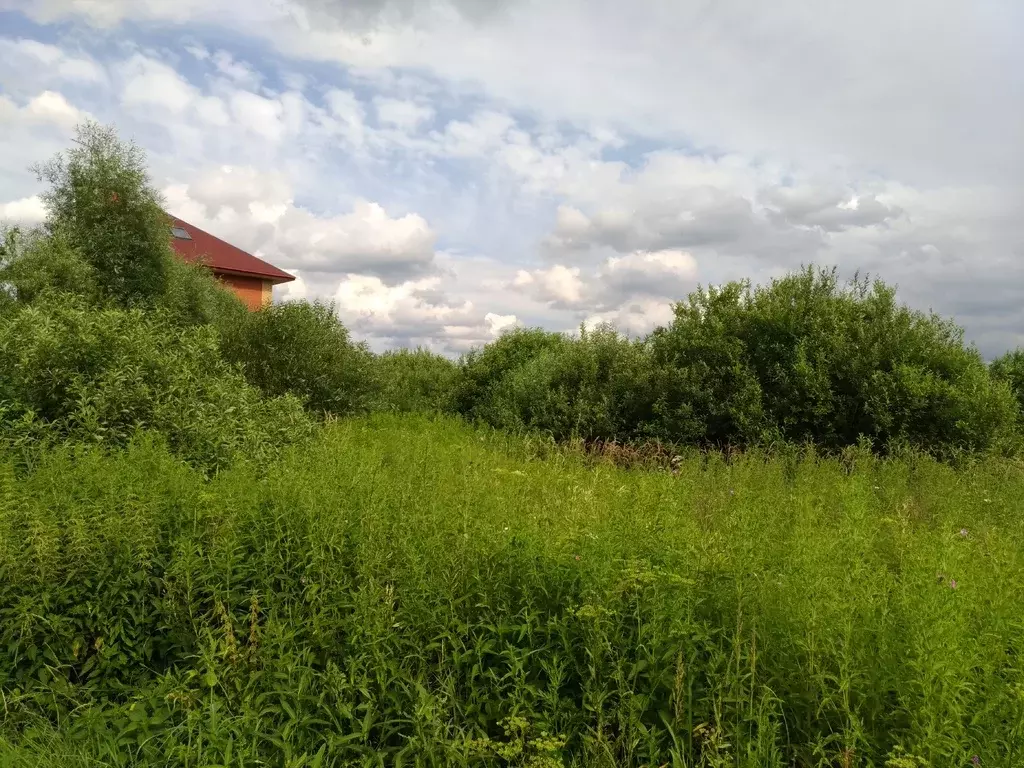 Участки в раменском районе. Раменский район Гостица участок. Купить участок в киз Гостица. Стоимость 1 сотки ИЖС В Раменском районе деревня Жуковка.