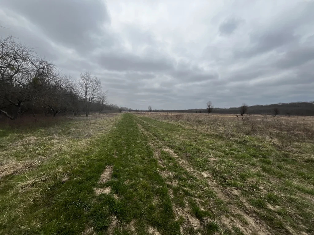 Продажа участка, Смоленская, Северский район - Фото 3