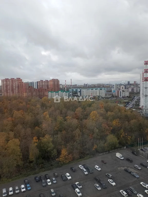 городской округ Люберцы, Люберцы, Преображенская улица, д.13, . - Фото 8