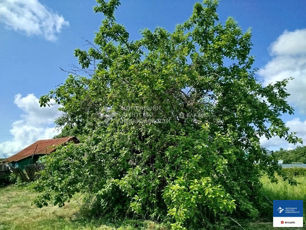 Продажа дома, Нарышкино, Касимовский район - Фото 6